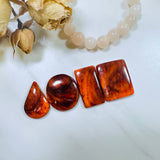Large Royal Orange Mixed Spiny Oyster, Set of 4 Background