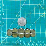 Small Swamp Green Half Moon Rosarita, Set of 10 Dimensions