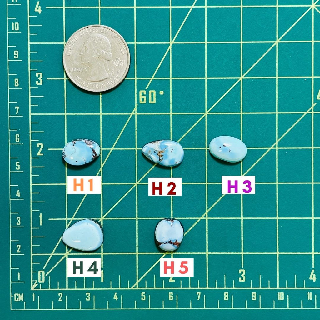 2. Small Teardrop Golden Hills 071623 Turquoise Moose