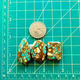 Large Sky Blue Freeform Royston Turquoise, Set of 3 Dimensions