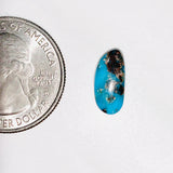 L14 x W6 x H4 mm Sky Blue Freeform Bisbee Background