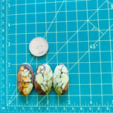 Large Royal Orange Oval Treasure Mountain Turquoise, Set of 3 Dimensions