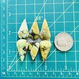 Large Sea Green Teardrop Treasure Mountain Turquoise, Set of 6 Dimensions