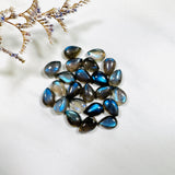 7x10mm Teardrop Labradorite, Set of 8