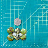 Medium Bamboo Green Round Bamboo Mountain Turquoise, Set of 6 Dimensions