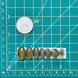 Medium Swamp Green Oval Rosarita, Set of 7 Dimensions