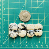 Medium White Half Moon White Buffalo Dolomite, Set of 8 Dimensions