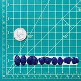 Small Deep Blue Mixed Lapis Lazuli, Set of 10 Dimensions