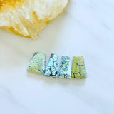 Large Mixed Trapezoid Wild Horse Turquoise, Set of 4 Background