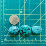 Large Ocean Blue Oval Yungai Beads, Set of 3 Dimensions