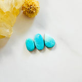 Small Sky Blue Freeform Sleeping Beauty Turquoise, Set of 3 Background