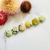 Small Mixed Round Mixed Turquoise, Set of 6 Background