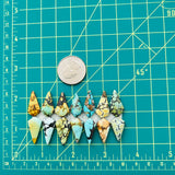 Medium Mixed Shield Mixed Turquoise, Set of 14 Dimensions