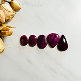 Medium Purple Mixed Spiny Oyster, Set of 5 Background