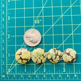 Medium Royal Orange Round Treasure Mountain Turquoise, Set of 4 Dimensions