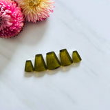 Medium Swamp Green Freeform Rosarita, Set of 5 Background