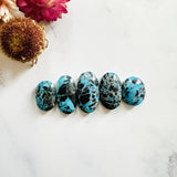 Medium Ocean Blue Oval Yungai Turquoise, Set of 5 Background