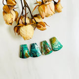Large Sea Green Petal Crescent Lake Variscite, Set of 4 Background