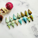 Large Mixed Shield Mixed Turquoise, Set of 14 Background