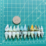 Medium Mixed Teardrop Mixed Turquoise, Set of 22 Dimensions