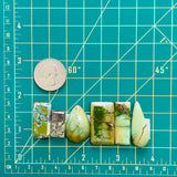 Large Lime Green Mixed Crescent Lake Variscite, Set of 6 Dimensions