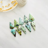 Large Mixed Shield Mixed Turquoise, Set of 10 Background
