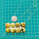 Medium Royal Orange Round Treasure Mountain Turquoise, Set of 8 Dimensions