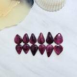 Medium Purple Teardrop Spiny Oyster, Set of 12 Background