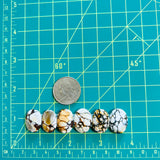 Medium Royal Orange Oval Purple Lavender, Set of 6 Dimensions