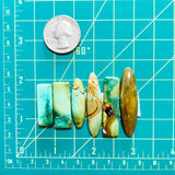 Large Mixed Mixed Crescent Lake Variscite, Set of 6 Dimensions
