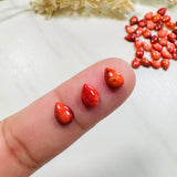 5x7mm Teardrop Spiny Oyster, Set of 4