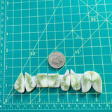Medium Lime Green Mixed Green Serpentine Serpentine, Set of 8 Dimensions