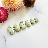 Small Light Yellow Oval Lone Mountain Turquoise, Set of 6 Background