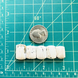 Medium White Barrel White Buffalo Dolomite, Set of 5 Dimensions
