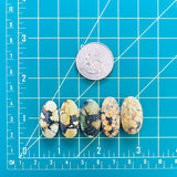 Medium Royal Orange Oval Treasure Mountain Turquoise, Set of 5 Dimensions