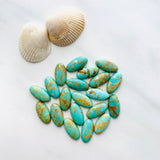 8x16mm Surfboard Kingman, Set of 2