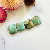Small Mint Green Barrel Crescent Lake Variscite, Set of 4 Background