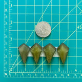 Large Swamp Green Shield Rosarita, Set of 4 Dimensions
