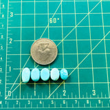 Small Sky Blue Freeform Sleeping Beauty Turquoise, Set of 5 Dimensions