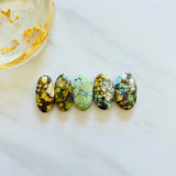 Large Mixed Oval Mixed Turquoise, Set of 5 Background