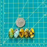 Large Mixed Oval Mixed Turquoise, Set of 5 Dimensions