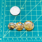 Medium Round Treasure Mountain Turquoise, Set of 3