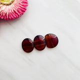 Medium Red Mixed Rosarita, Set of 3 Background