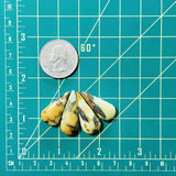 Large Royal Orange Teardrop Treasure Mountain Turquoise, Set of 4 Dimensions