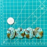 Large Sky Blue Oval Treasure Mountain Turquoise, Set of 4 Dimensions