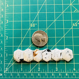 Medium White Hexagon White Buffalo Dolomite, Set of 6 Dimensions