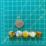 Medium Mixed Round Mixed Turquoise, Set of 5 Dimensions