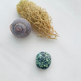 Small Lime Green Nugget Milky Way Dimensions