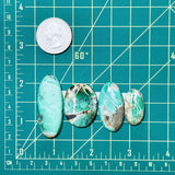 Large Mint Green Mixed Crescent Lake Variscite, Set of 4 Dimensions