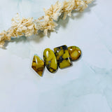 Large Royal Orange Mixed Treasure Mountain Turquoise, Set of 4 Background